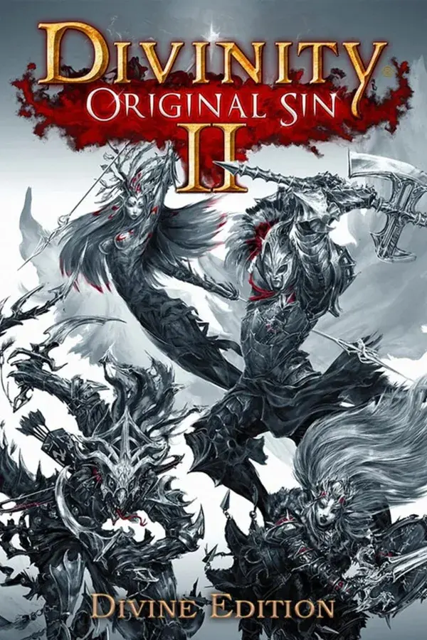 Okładka gry Divinity: Original Sin II - Divine Edition