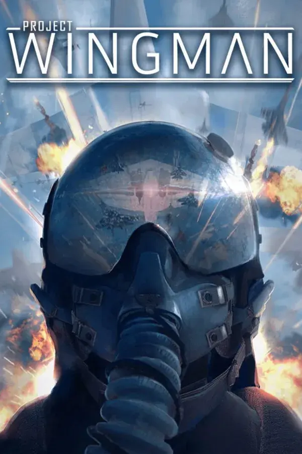 Okładka gry Project Wingman