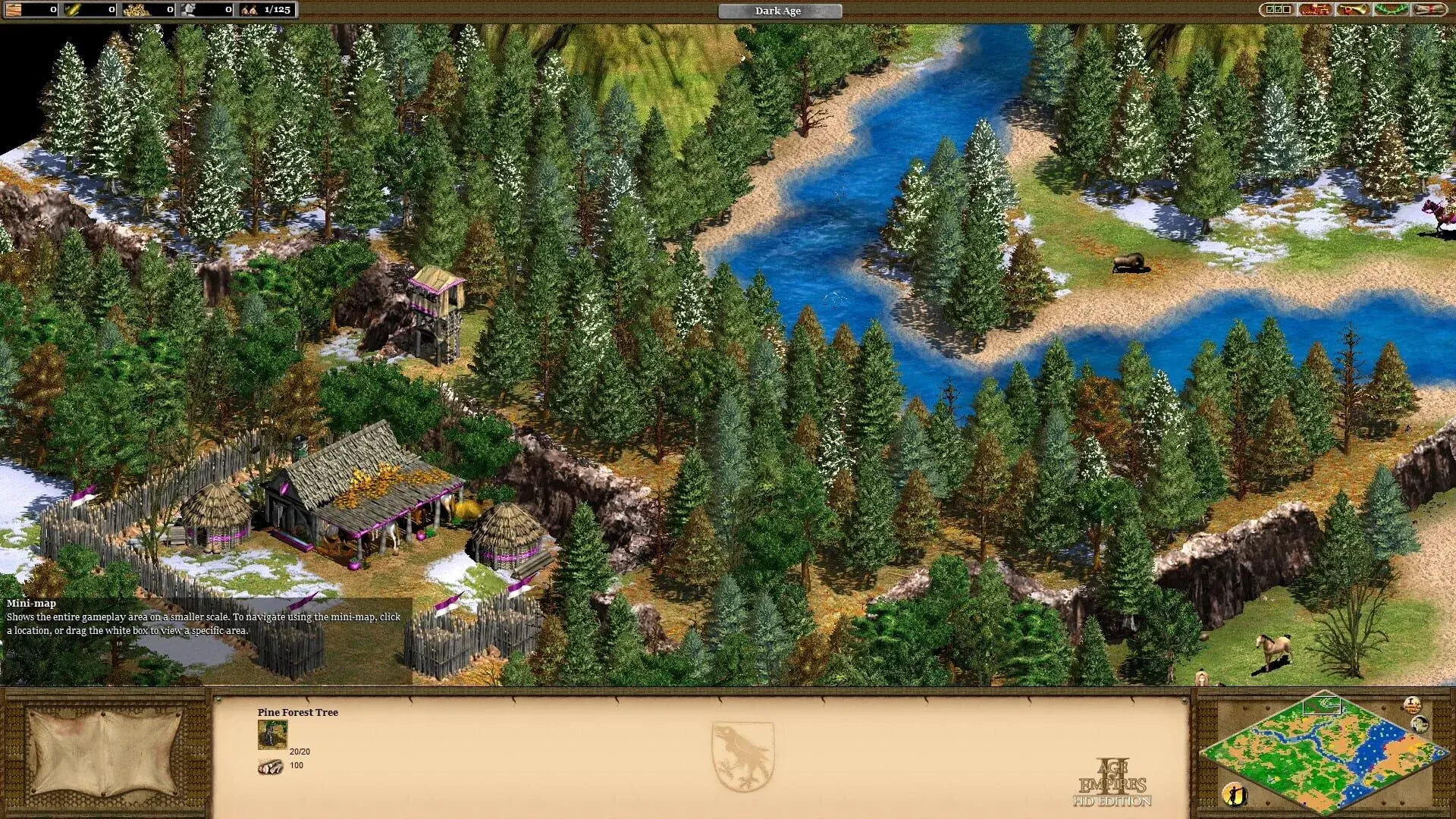 Age of Empires II (Retired): Definitive Edition - świat gry, lokacja