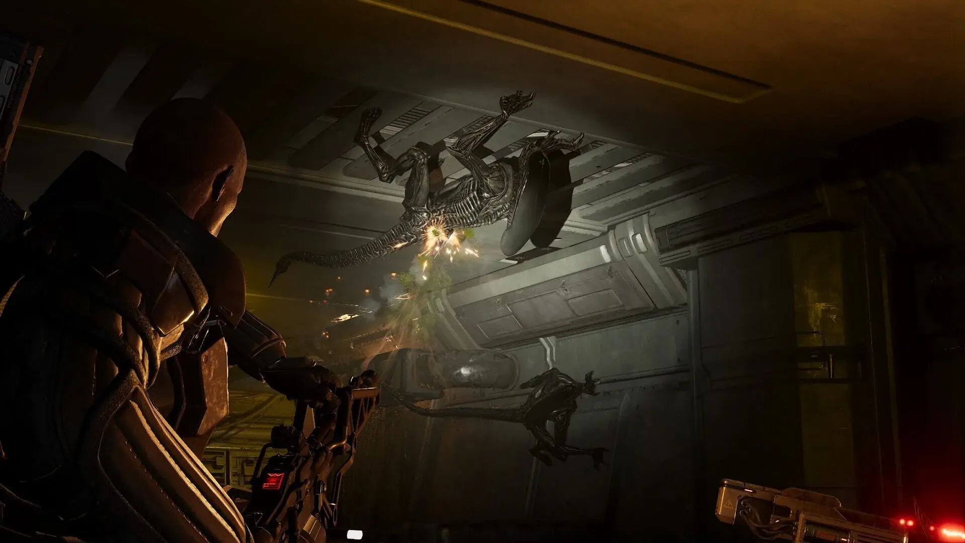 Aliens: Fireteam Elite 2 - screenshot wysokiej jakości
