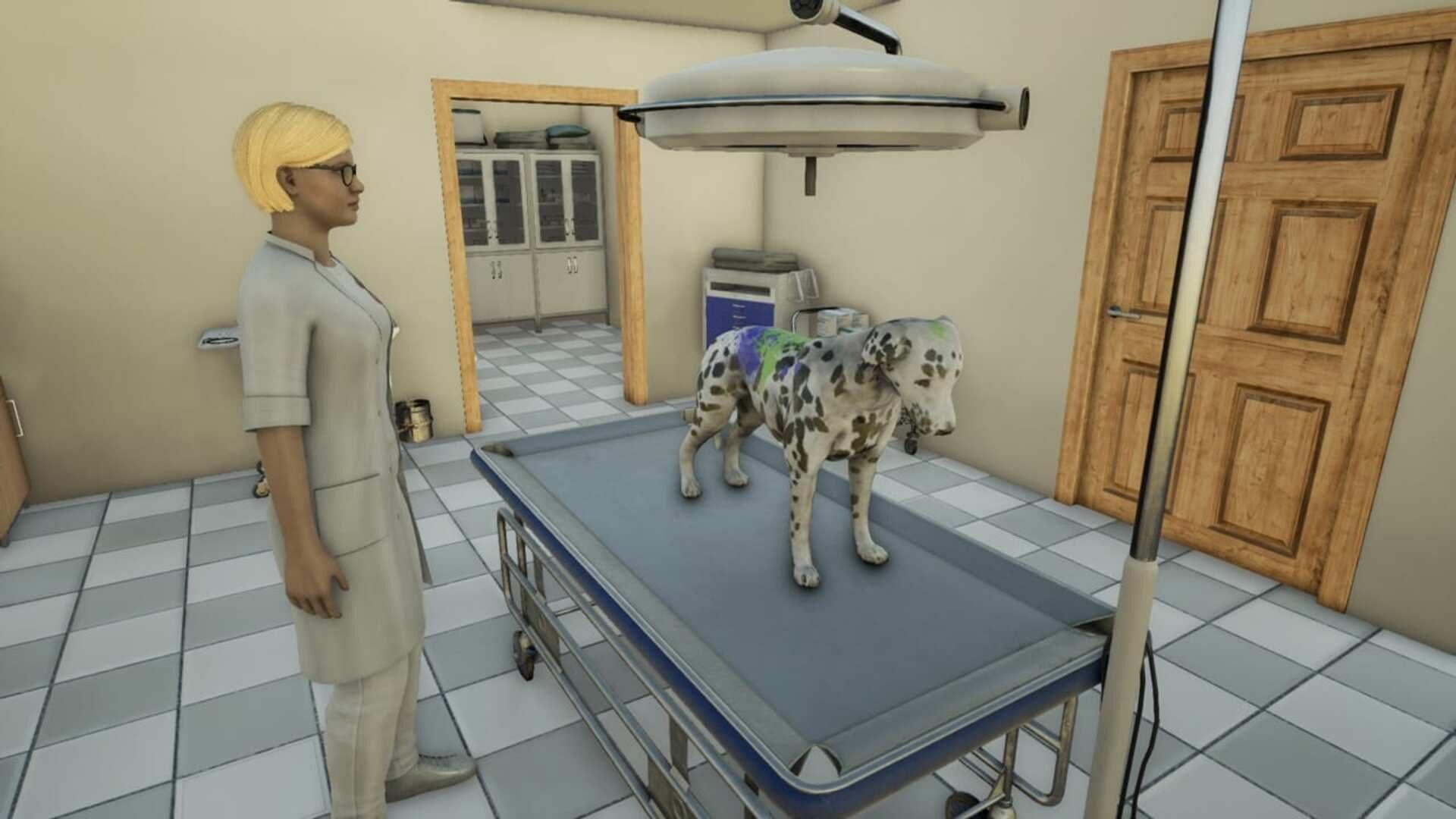 Animal Doctor - gameplay screenshot