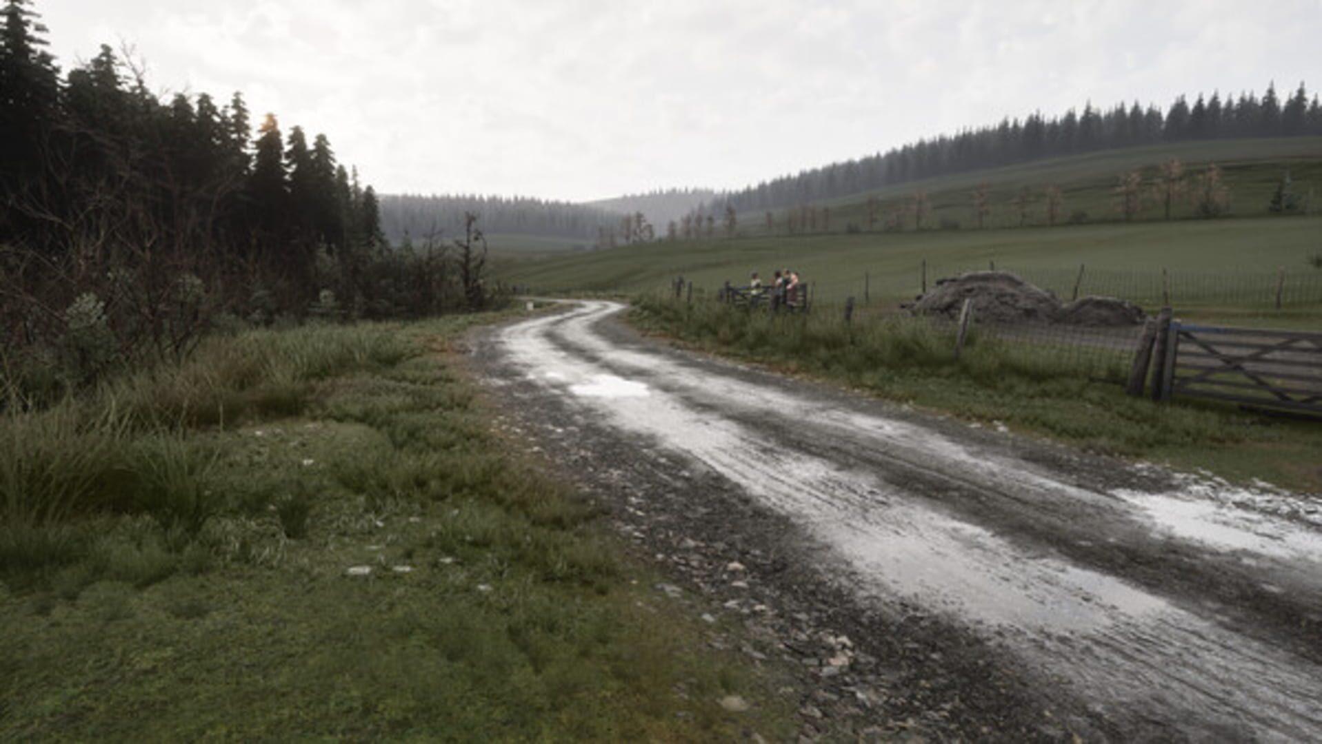 Assetto Corsa Rally - świat gry, lokacja