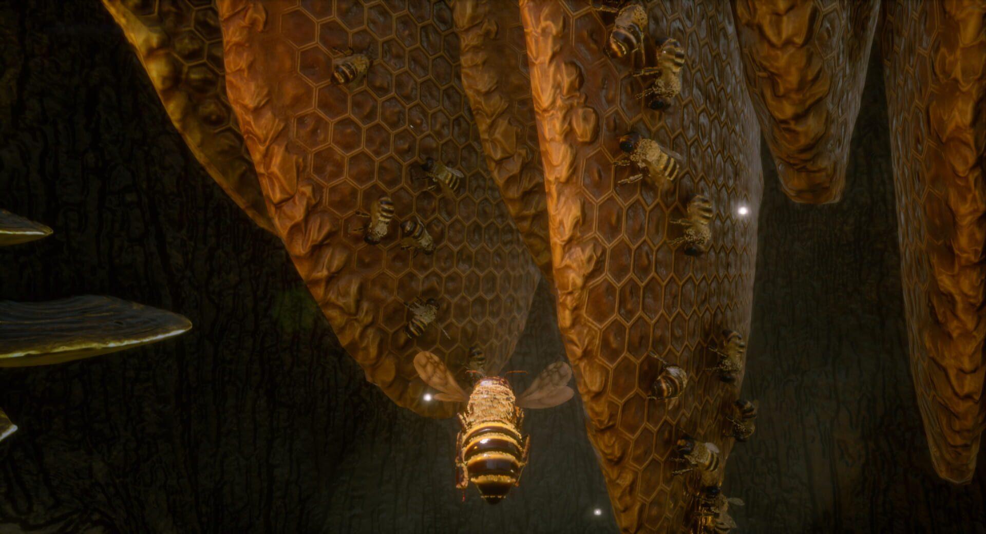 Bee Simulator - świat gry, lokacja