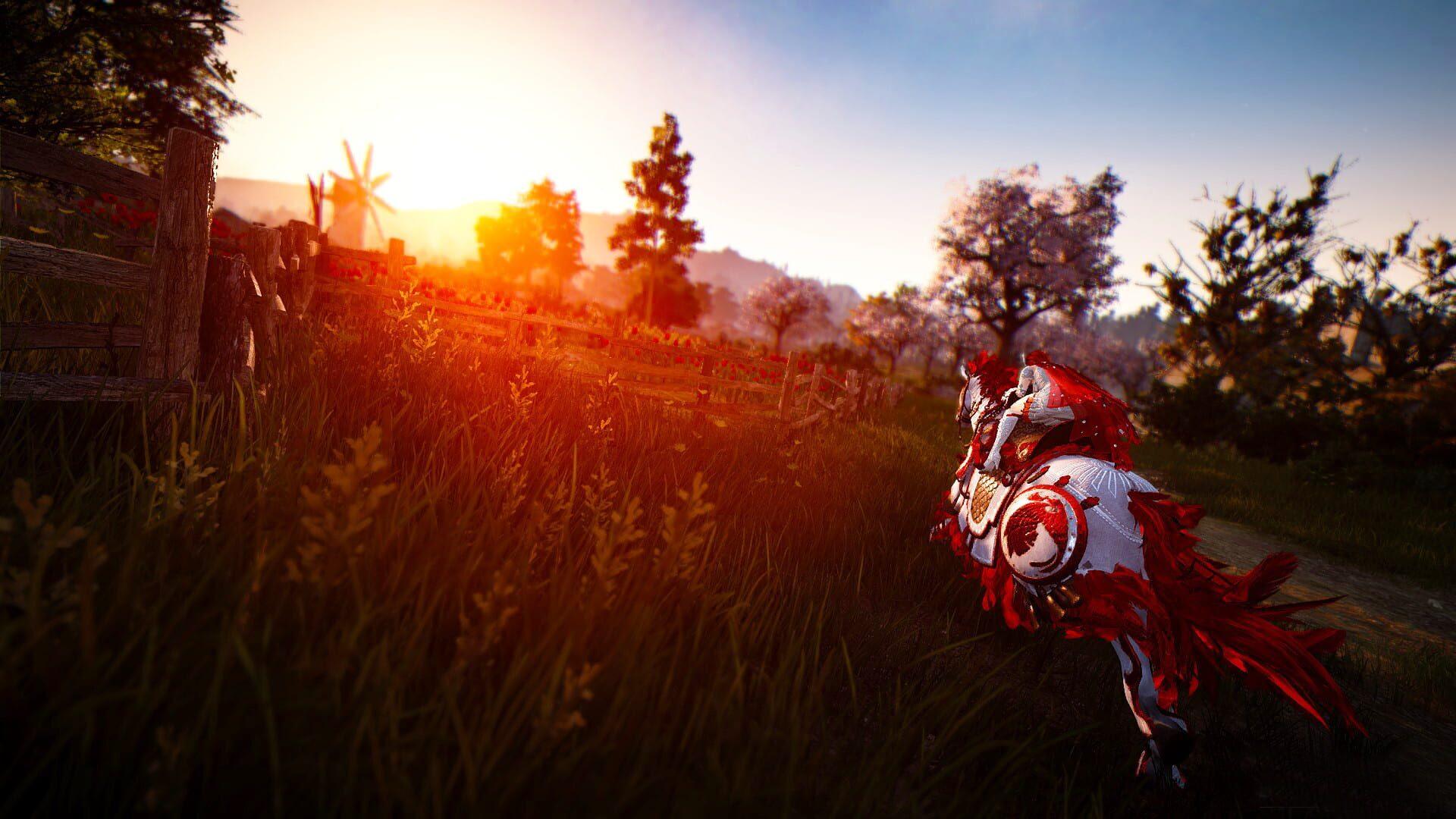 Black Desert - obrazek z gry