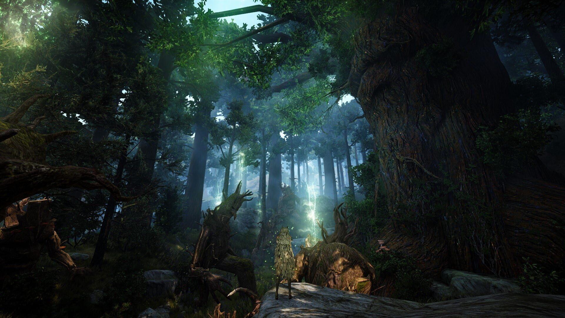 Black Desert (Xbox Series & PC) - gameplay screenshot