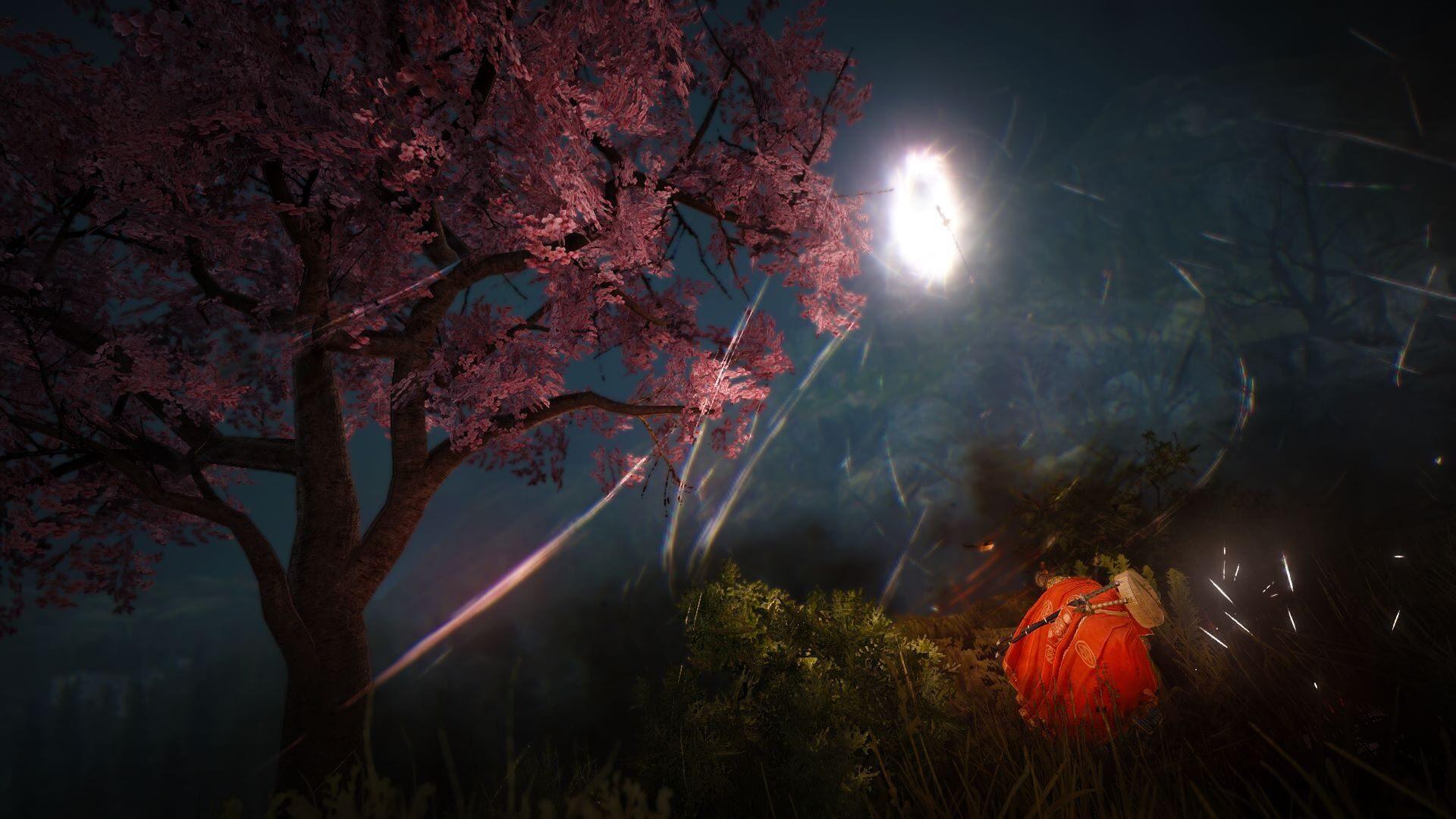 Black Desert (Xbox Series & PC) - akcja w grze