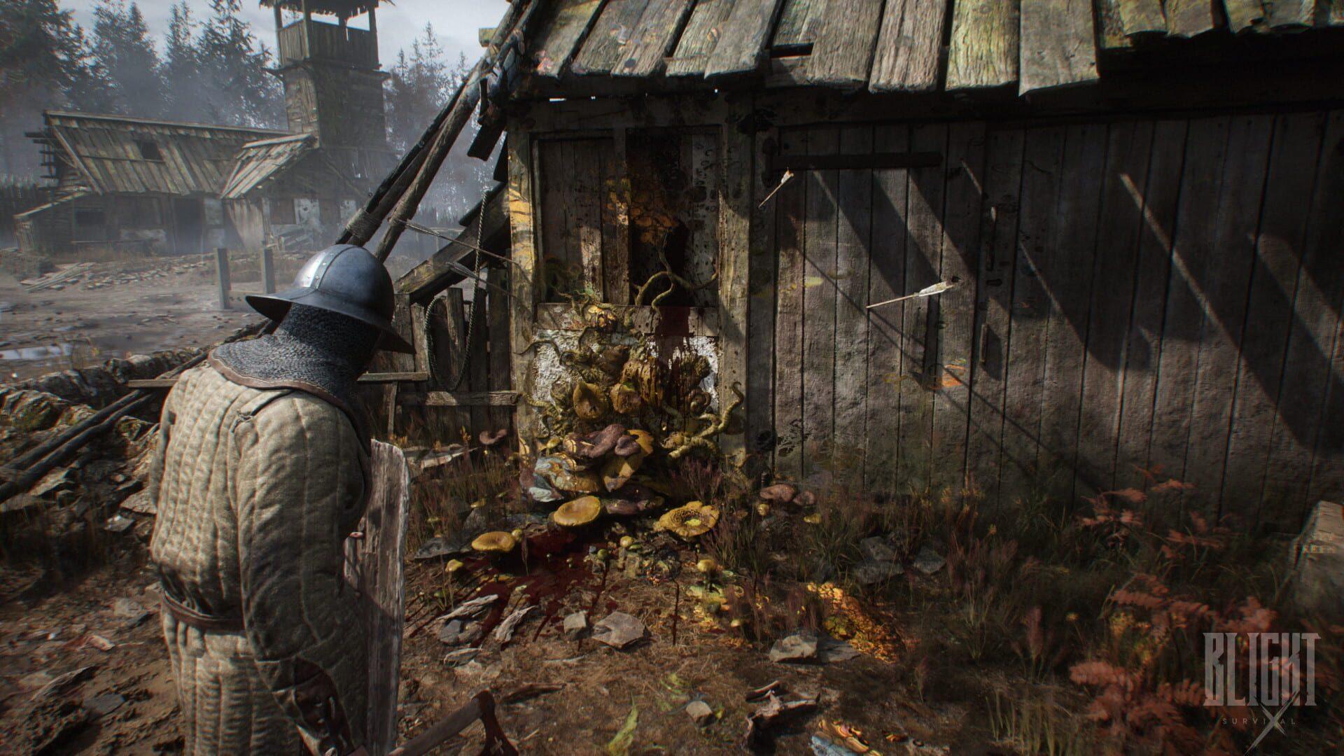 Blight: Survival - zrzut ekranu 3