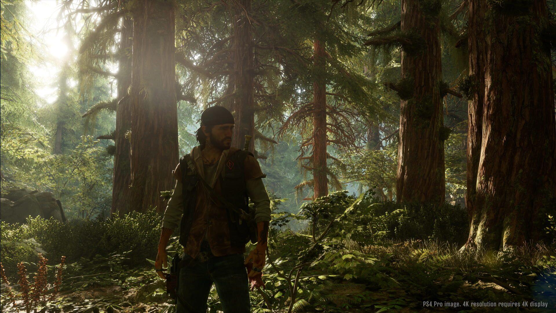 Days Gone - obrazek z gry