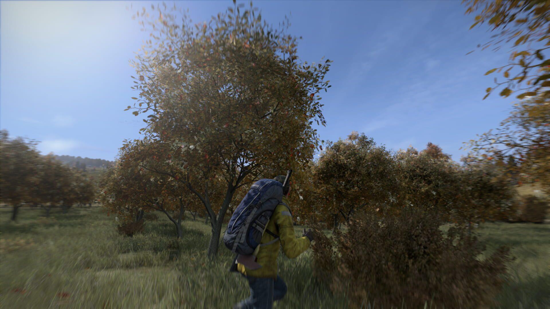 DayZ - gameplay screenshot