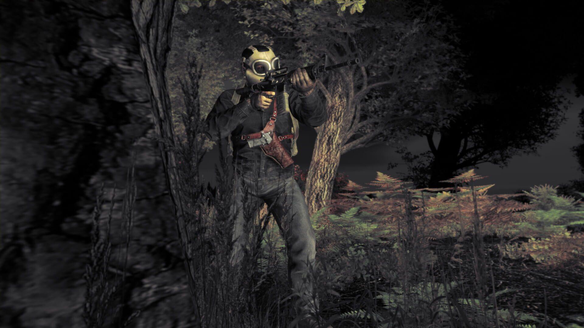 DayZ - świat gry, lokacja