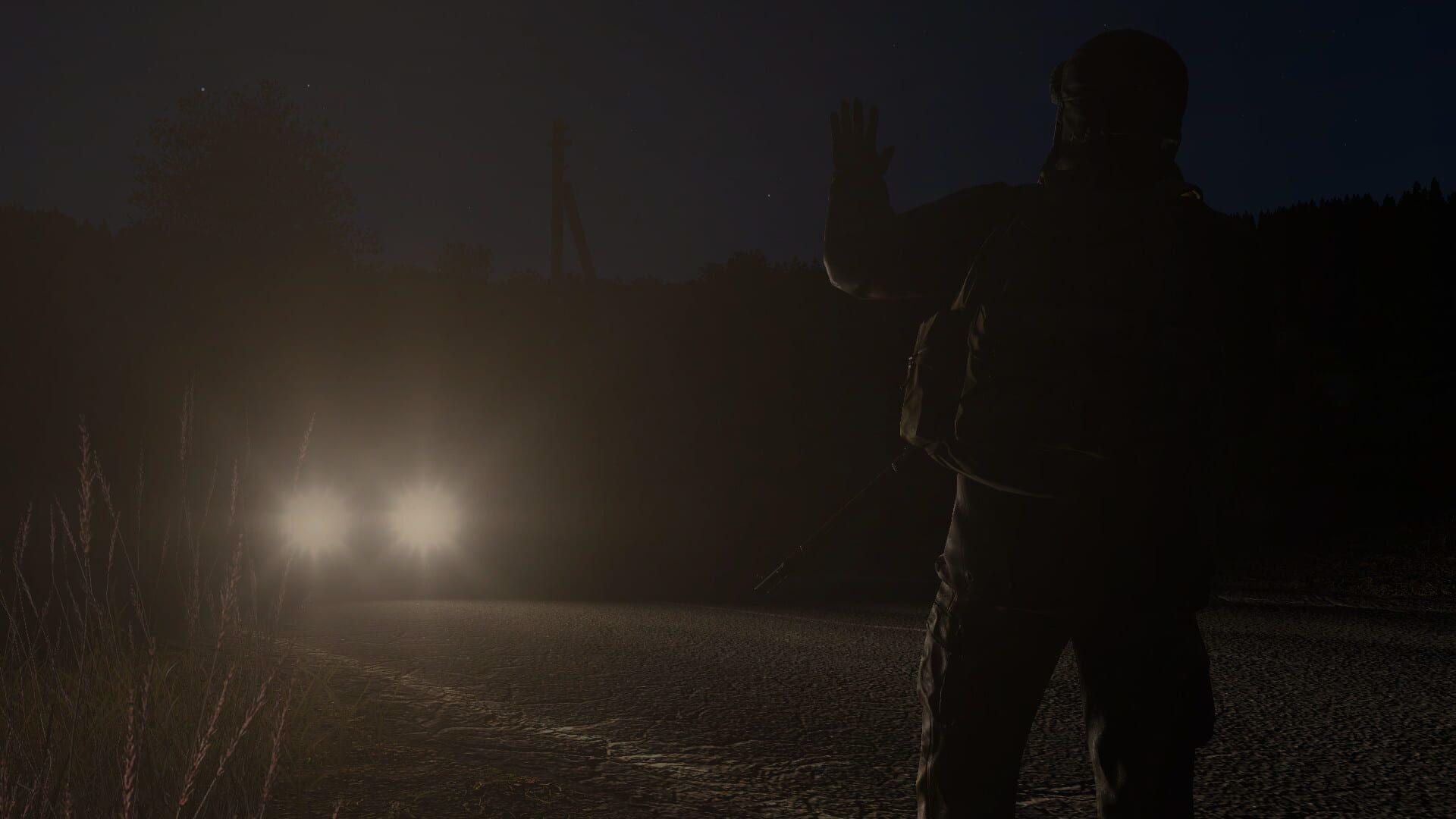 DayZ - obrazek z gry