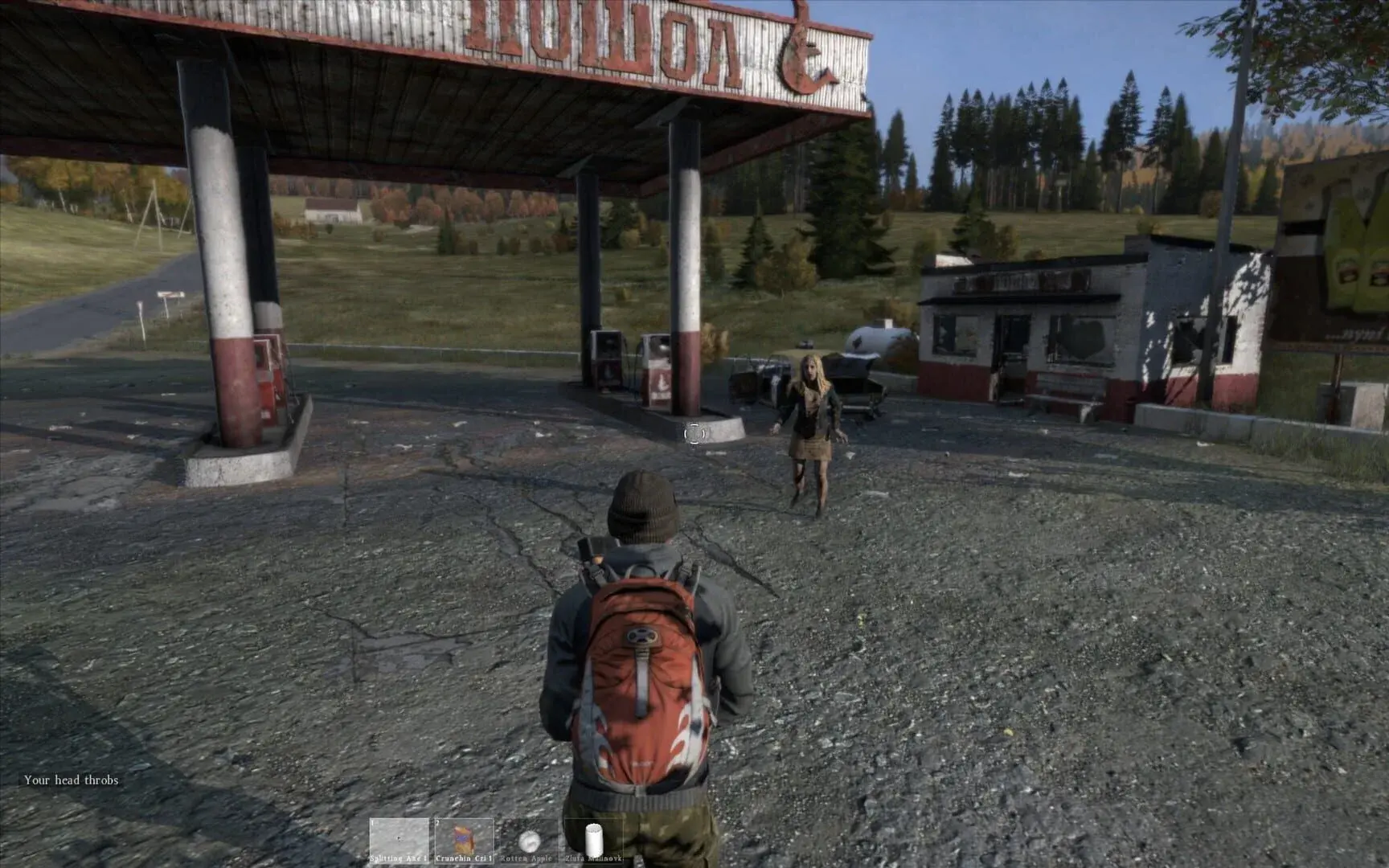 DayZ: Deluxe Edition - gameplay screenshot