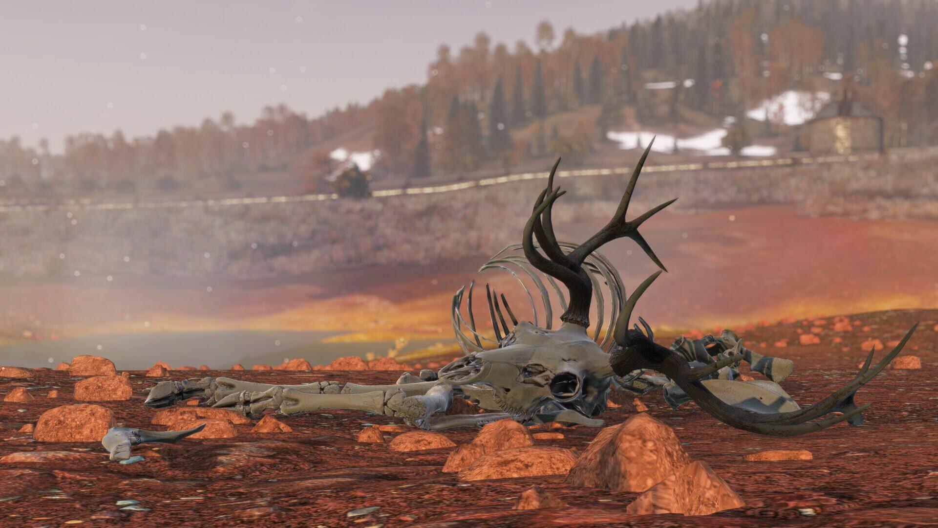 DayZ: Frostline - świat gry, lokacja