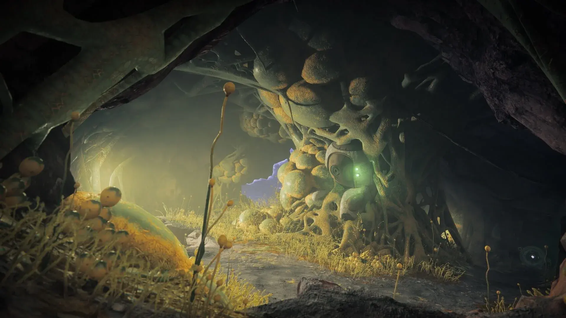 Destiny 2: The Edge of Fate - główny screenshot z gry