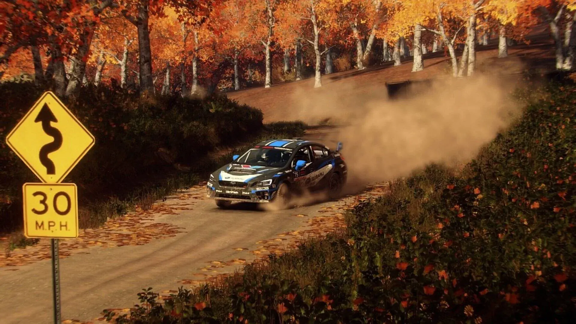 DiRT Rally 2.0: Digital Deluxe Edition - gameplay screenshot