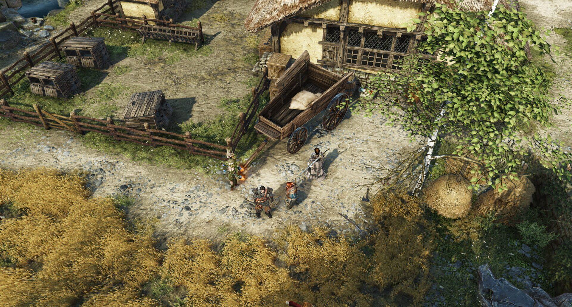 Divinity: Original Sin II - akcja w grze