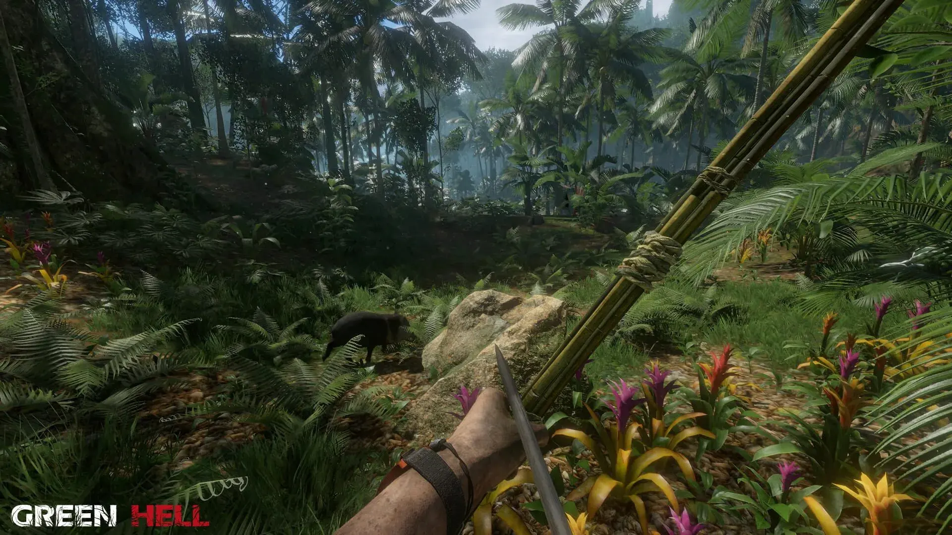 Green Hell (Switch) - główny screenshot z gry