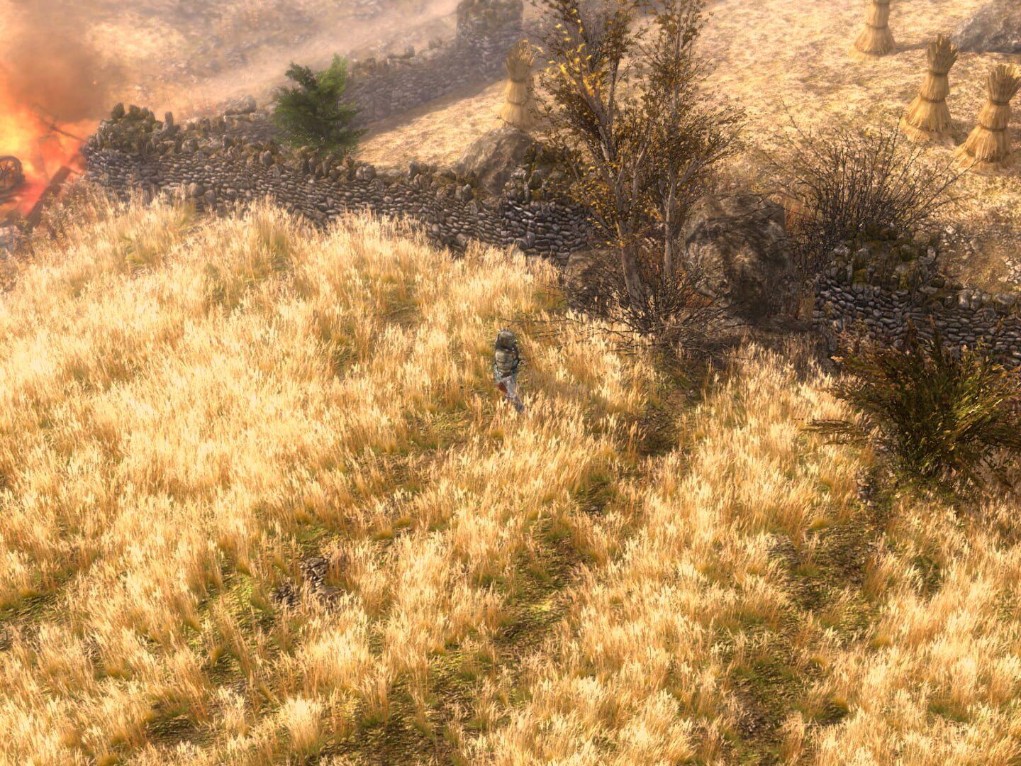 Grim Dawn - screenshot wysokiej jakości