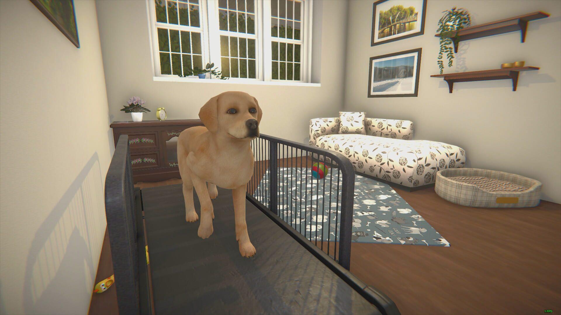 House Flipper: Pets - gameplay screenshot