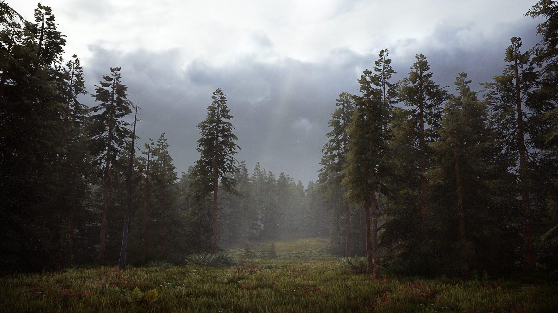 Hunting Simulator 2 - główny screenshot z gry