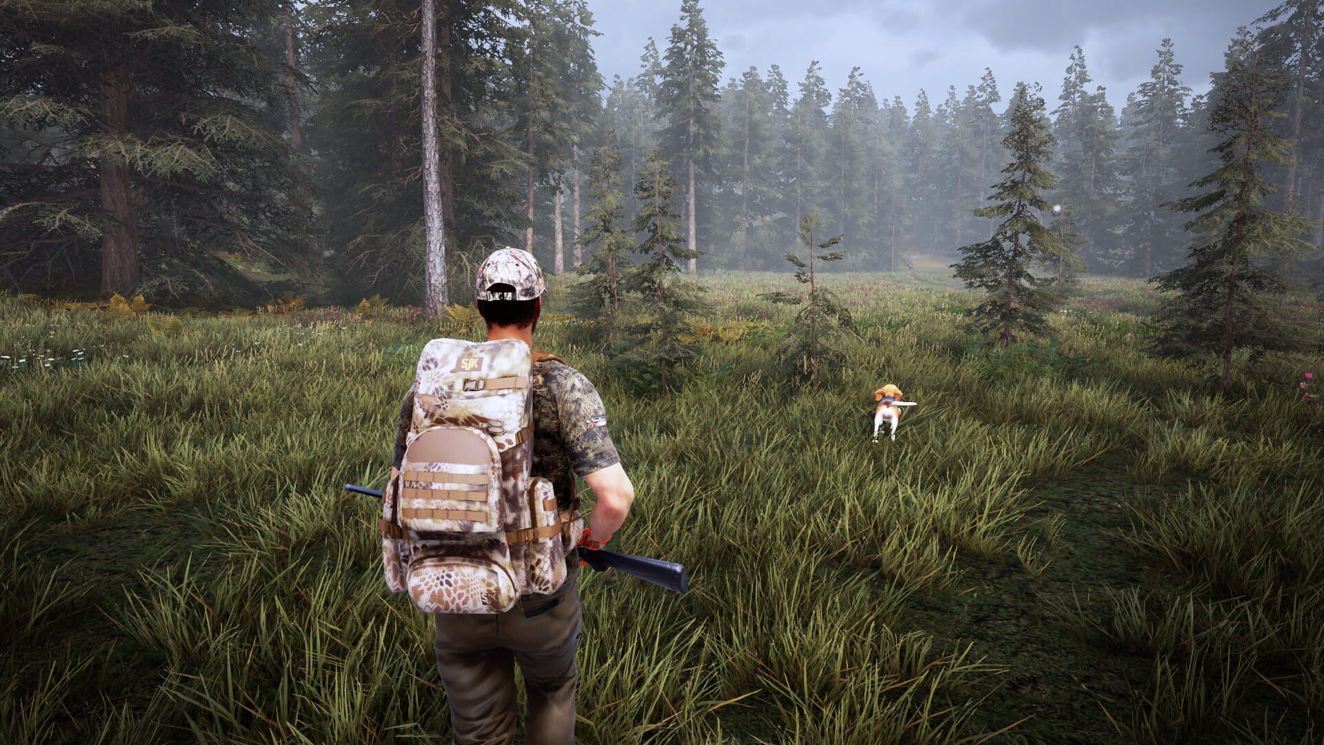 Hunting Simulator 2 - świat gry, lokacja