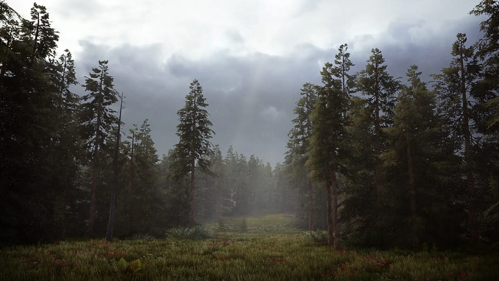 Hunting Simulator 2 (Xbox Series & PC) - świat gry, lokacja