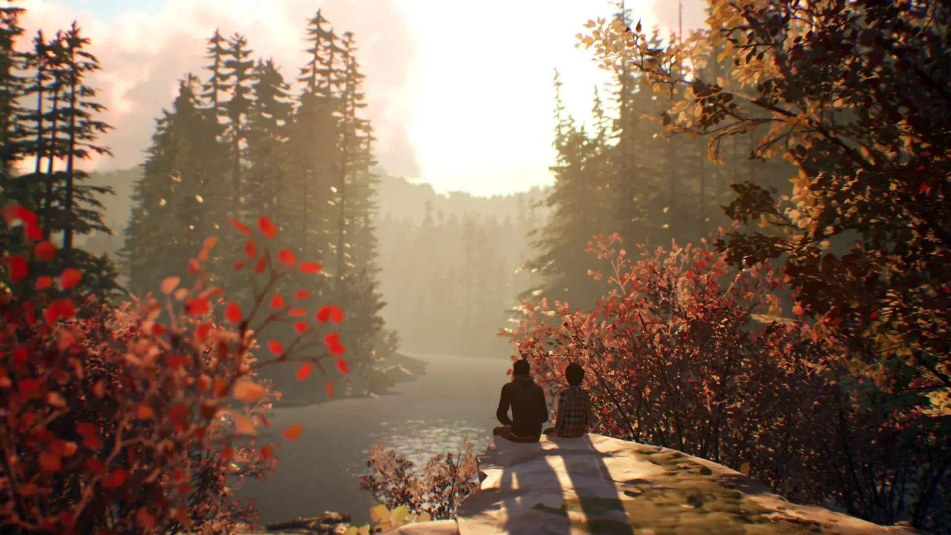 Life Is Strange 2 (Switch) - screenshot wysokiej jakości