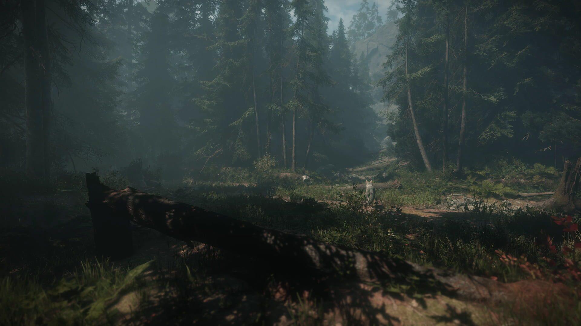 Maid of Sker - gameplay screenshot