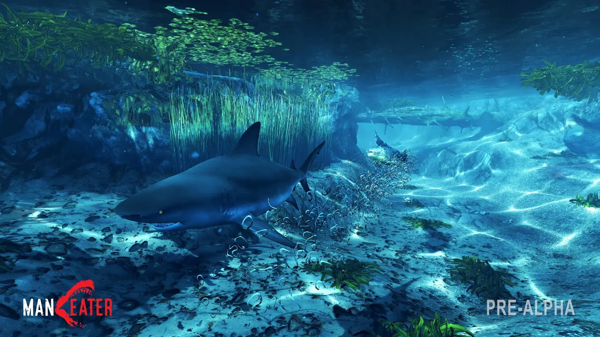 Maneater - gameplay screenshot