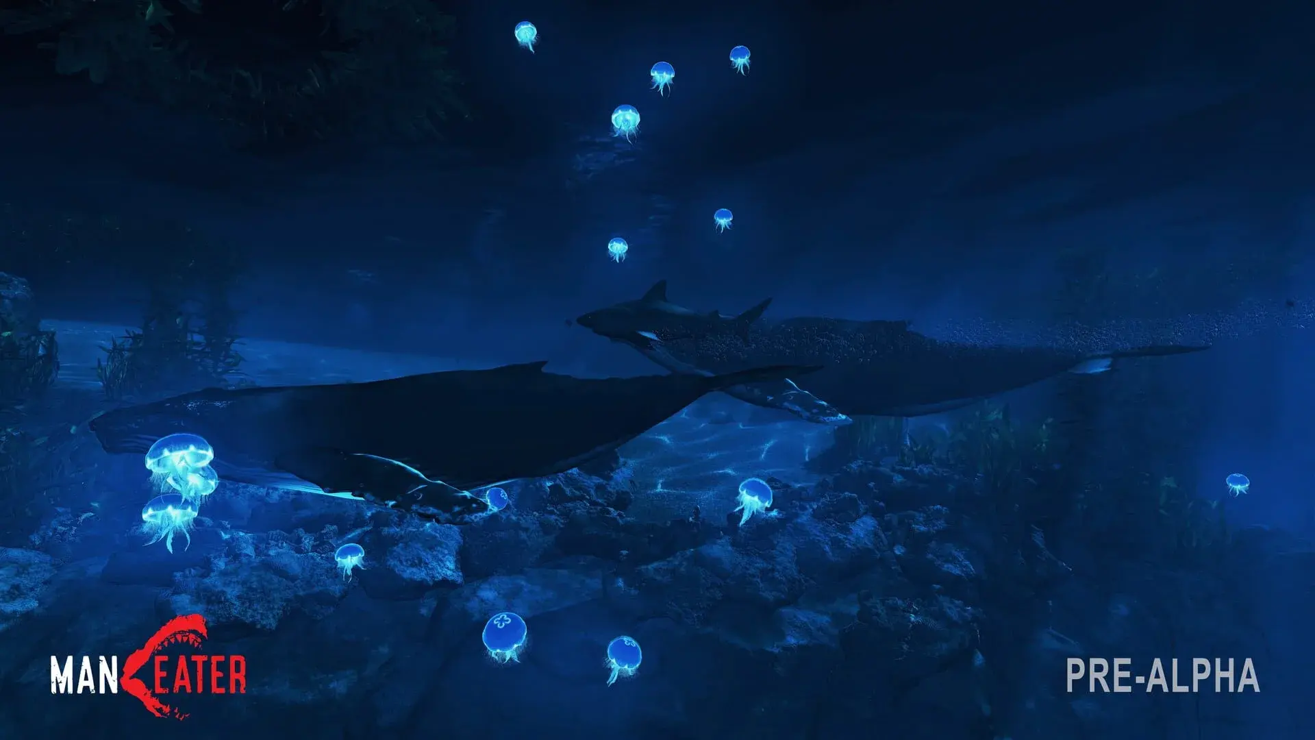 Maneater (Switch) - gameplay screenshot