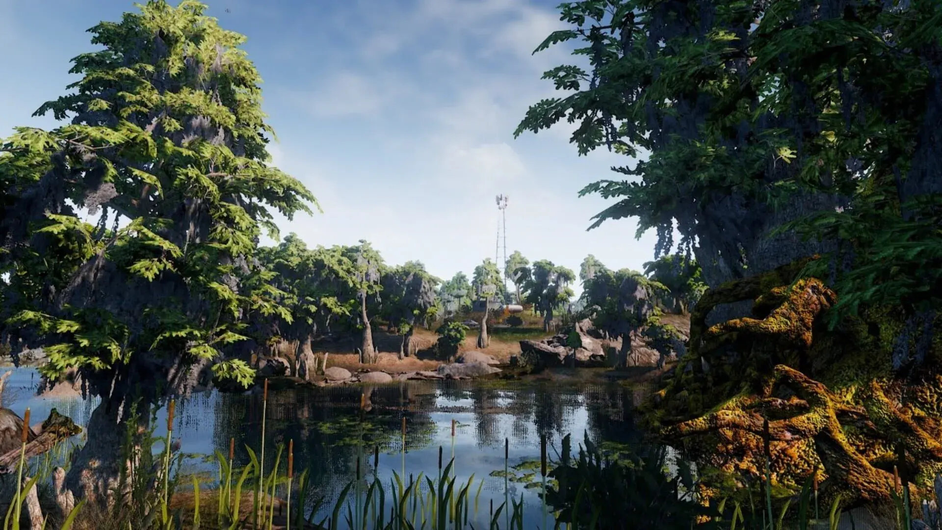Maneater (Switch) - świat gry, lokacja