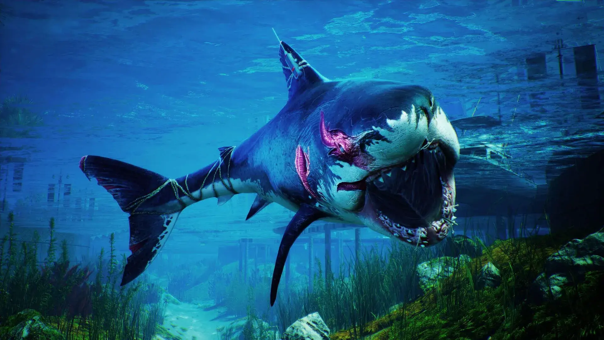 Maneater: Truth Quest - główny screenshot z gry