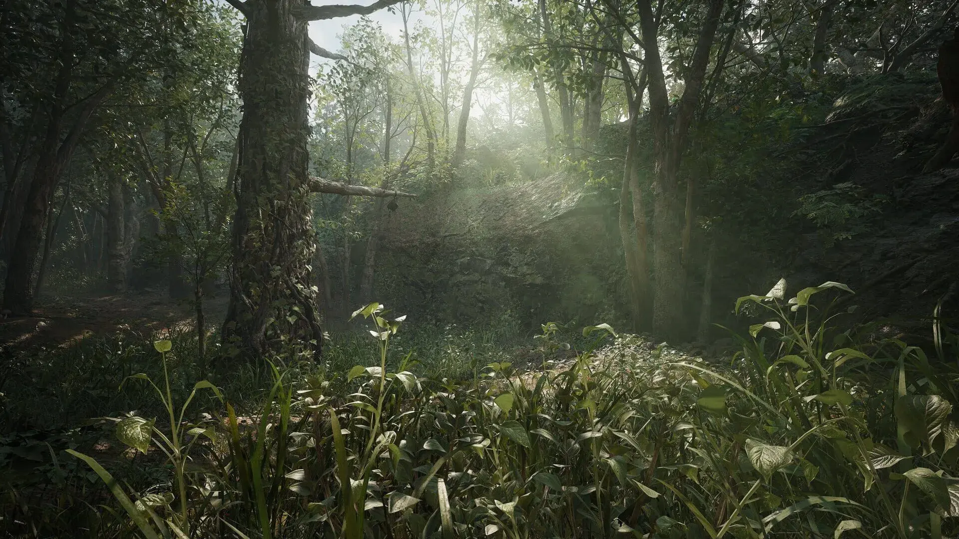 Metal Gear Solid Delta: Snake Eater: Deluxe Edition - gameplay screenshot