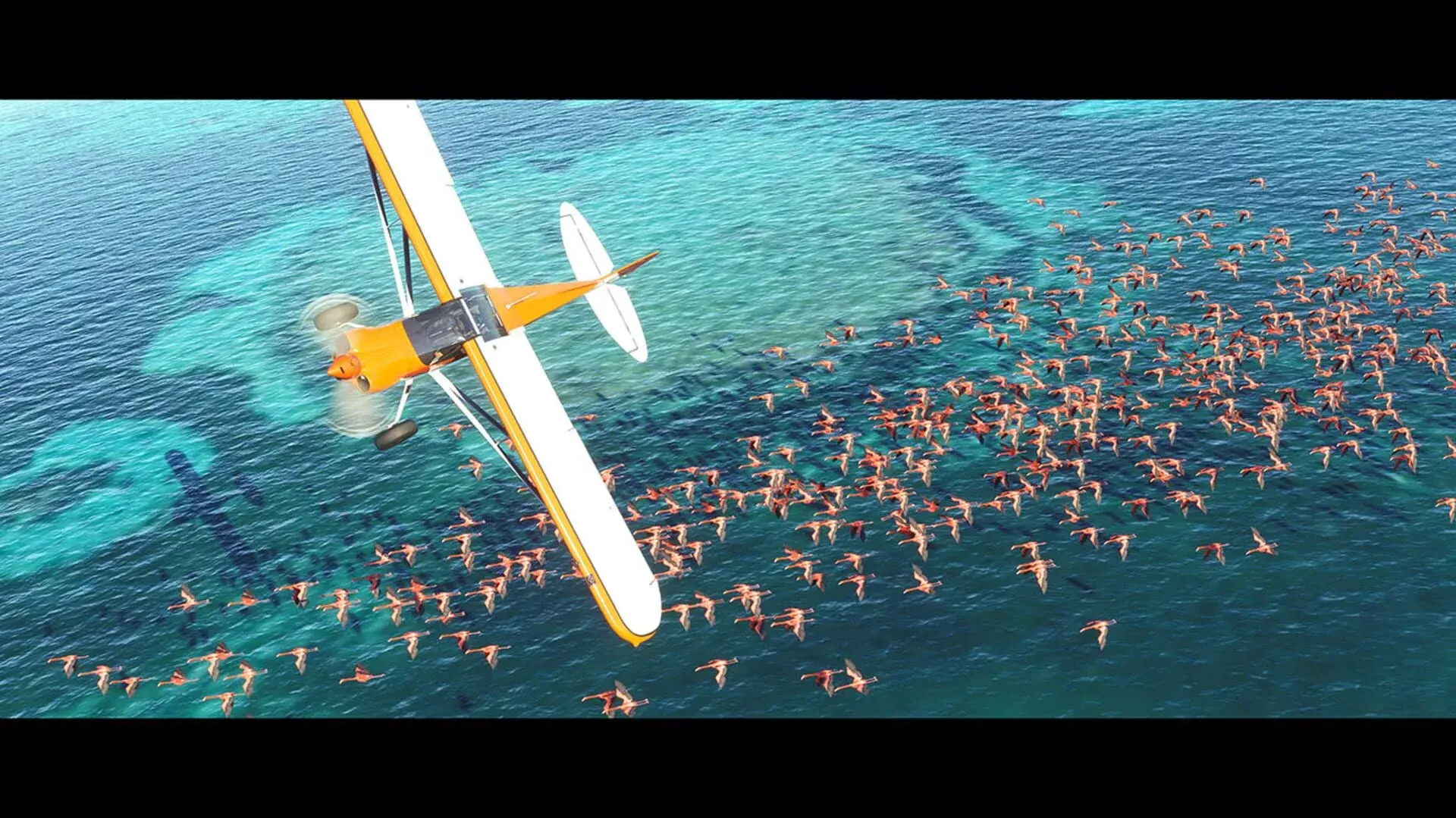 Microsoft Flight Simulator - akcja w grze
