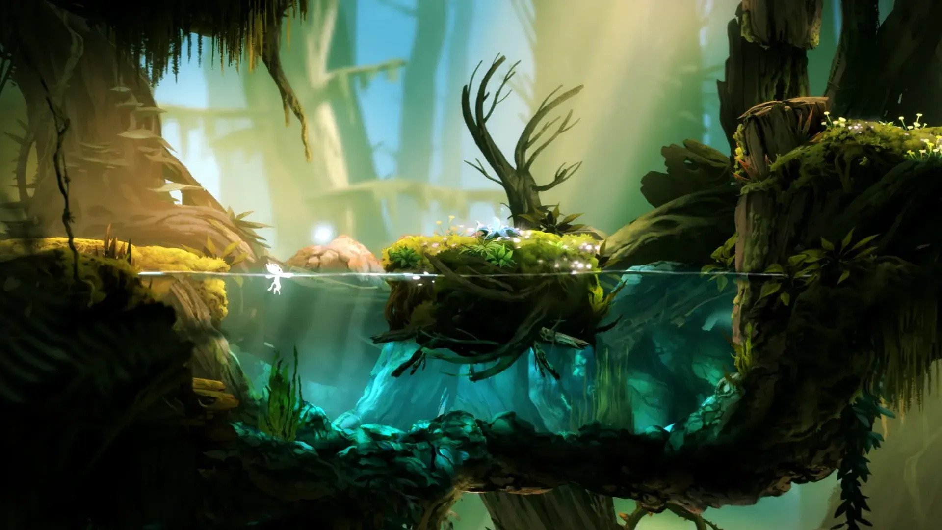 Ori and the Blind Forest (Switch) - obrazek z gry