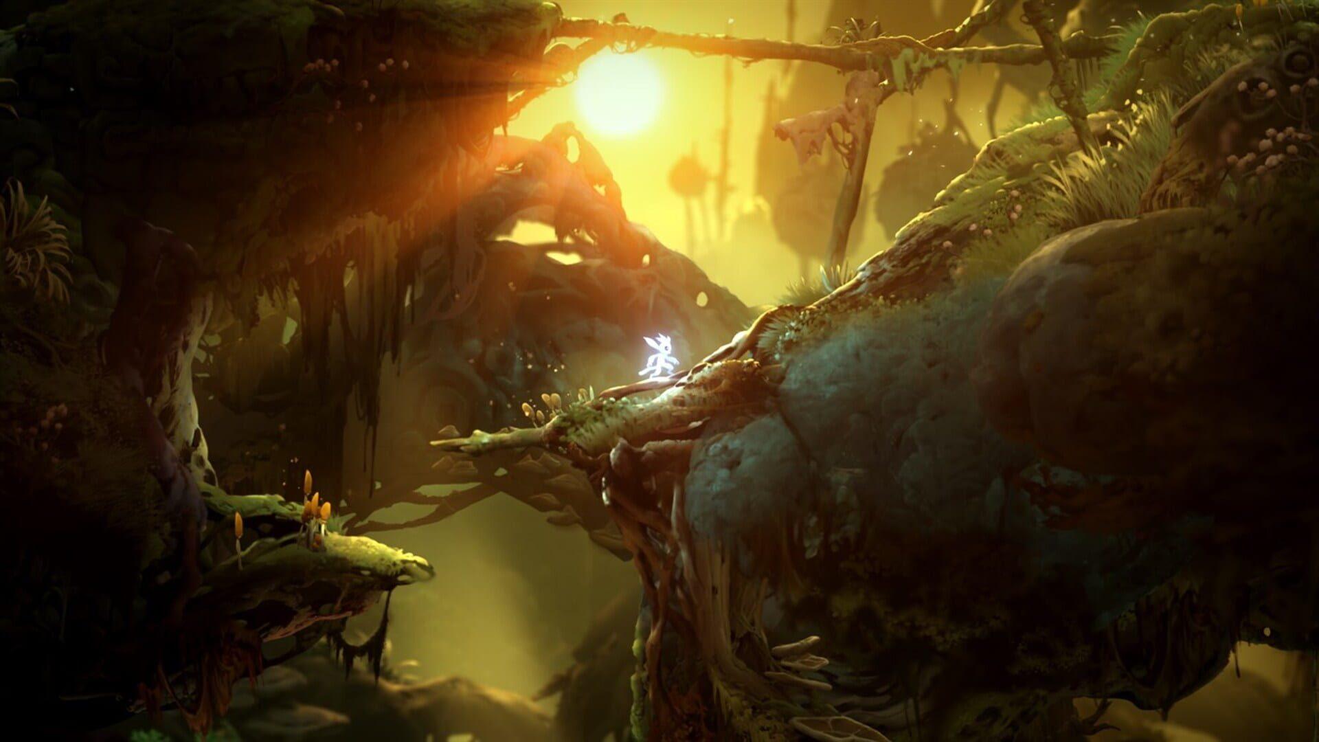 Ori and the Will of the Wisps - screenshot wysokiej jakości