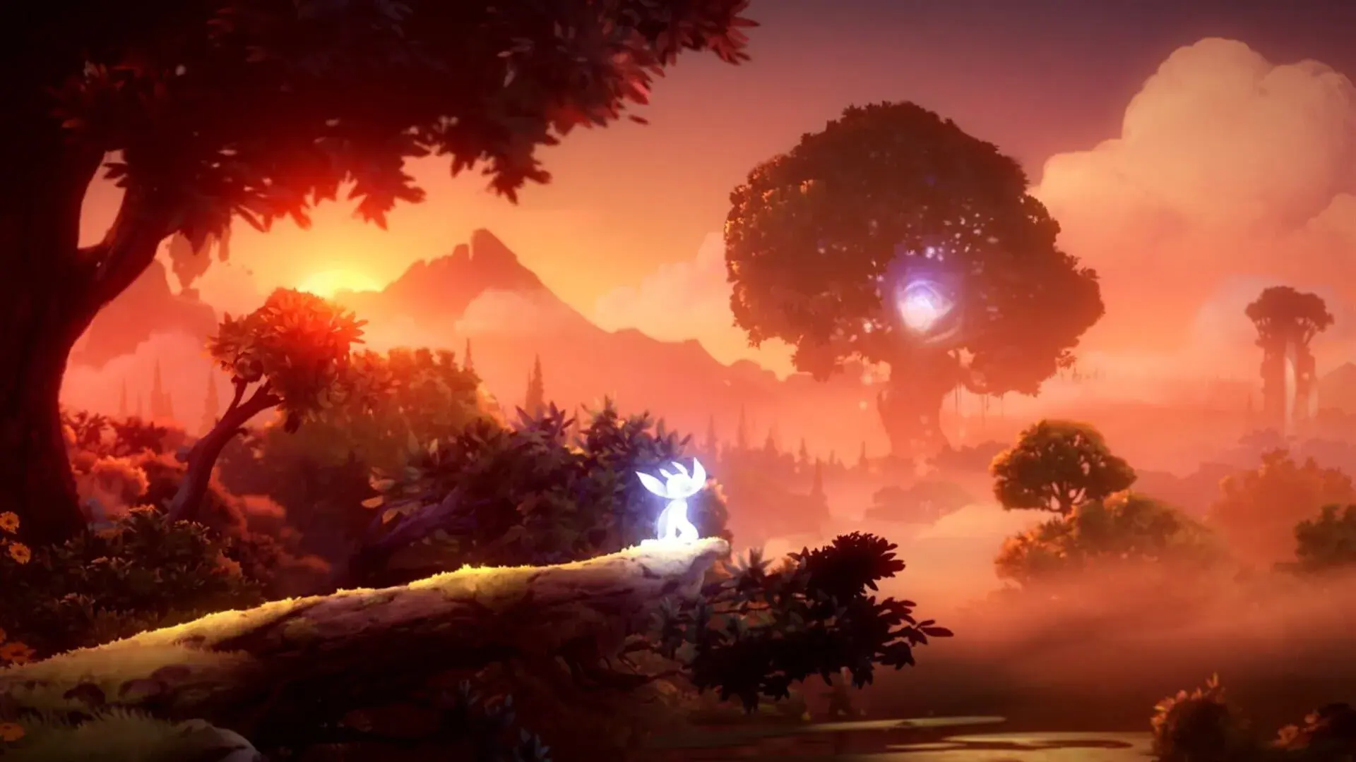 Ori and the Will of the Wisps (Switch) - akcja w grze