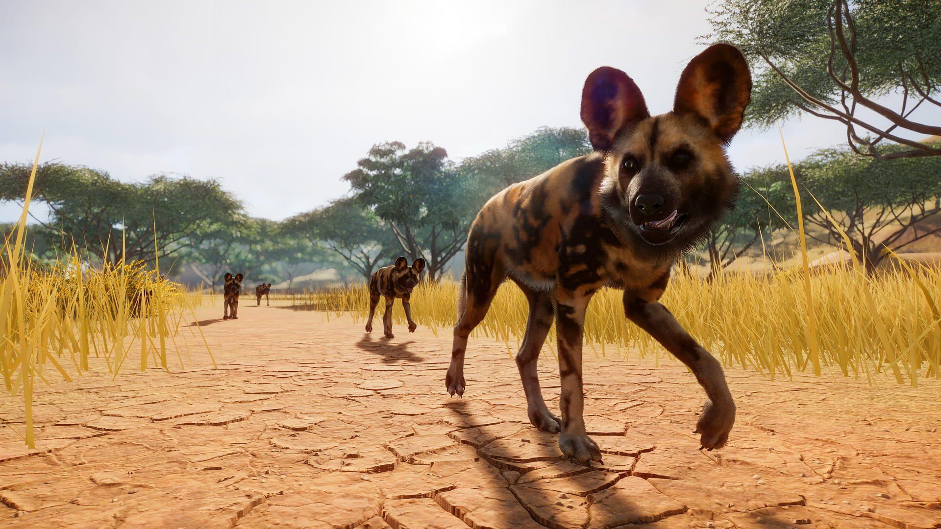 Planet Zoo - główny screenshot z gry
