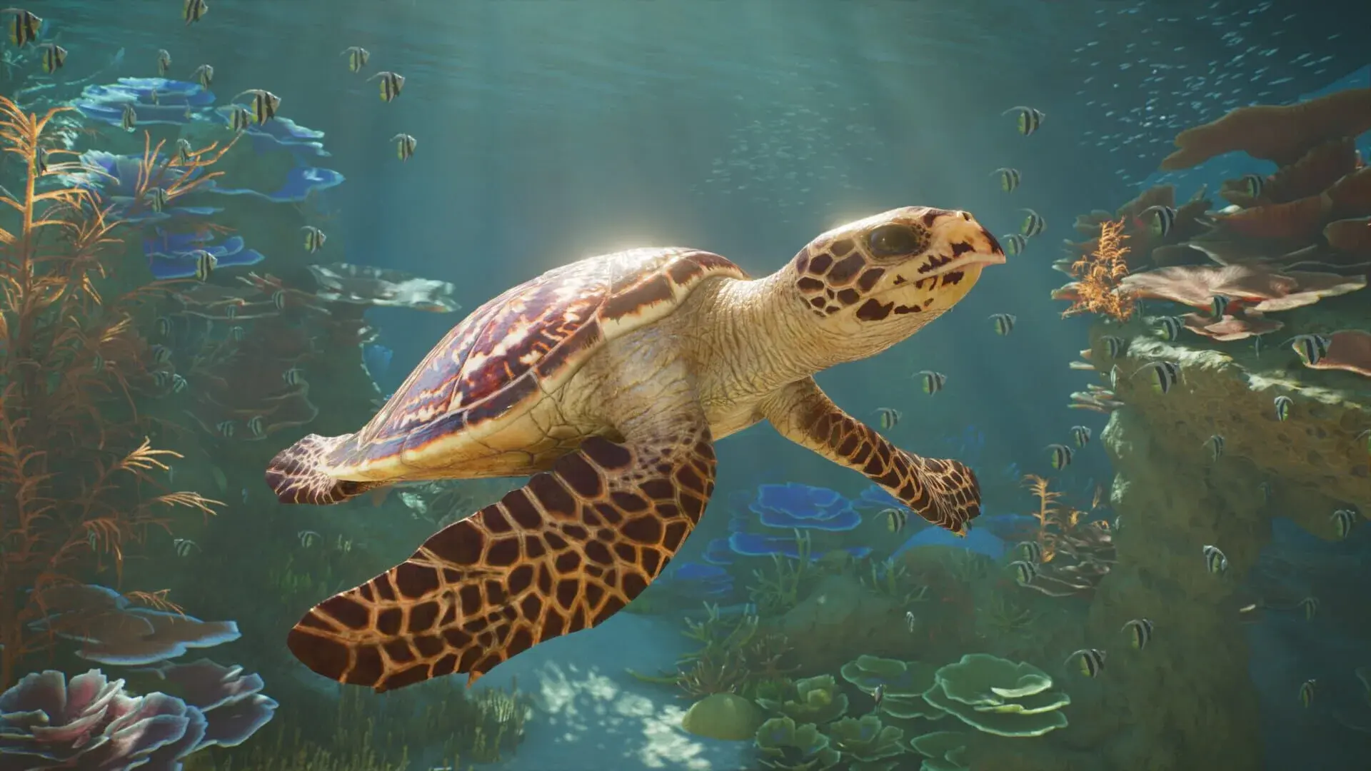 Planet Zoo 2: Deluxe Edition - screenshot wysokiej jakości