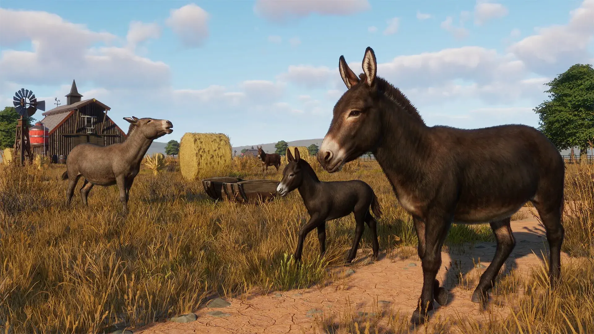 Planet Zoo: Barnyard Animal Pack - świat gry, lokacja