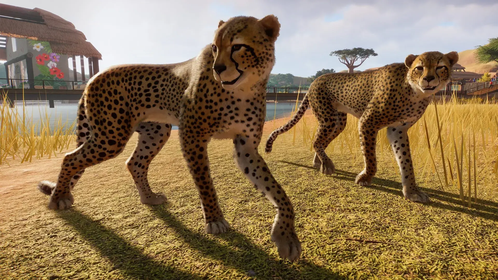 Planet Zoo: Premium Edition - świat gry, lokacja