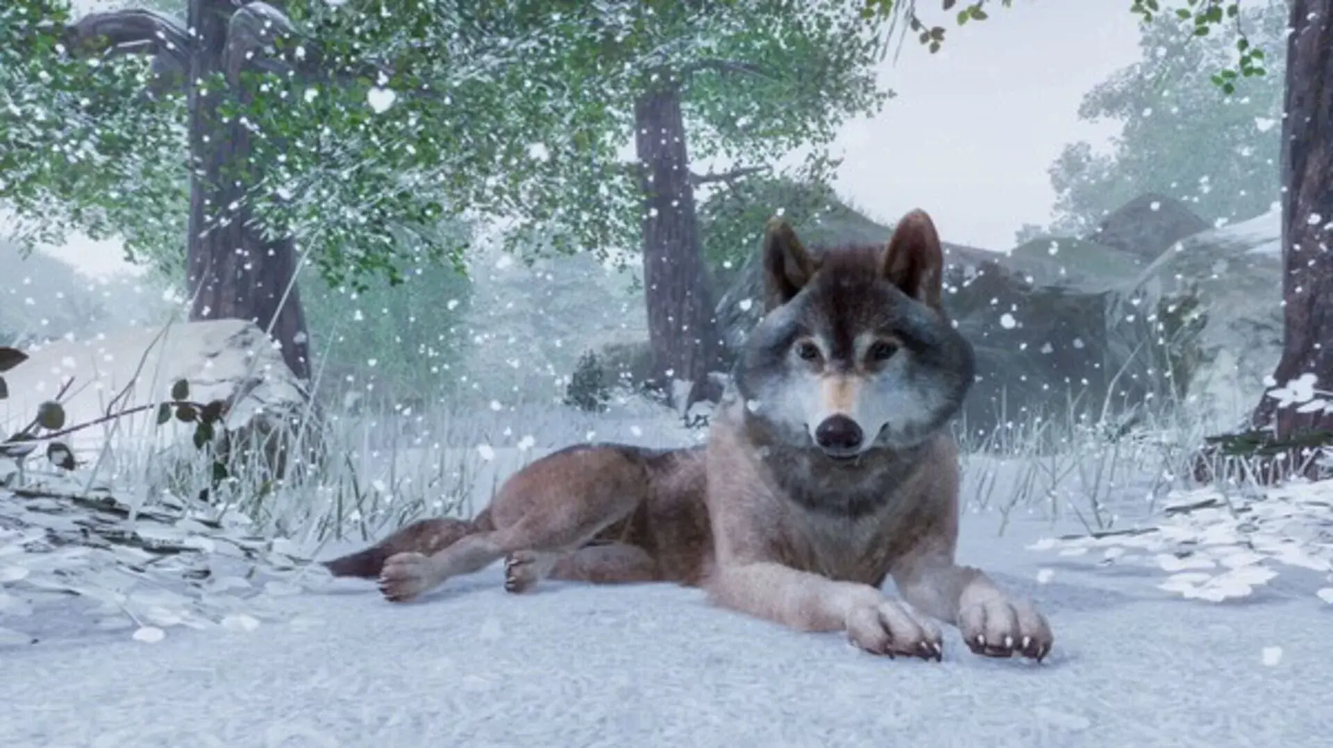 Planet Zoo: Premium Edition - screenshot wysokiej jakości