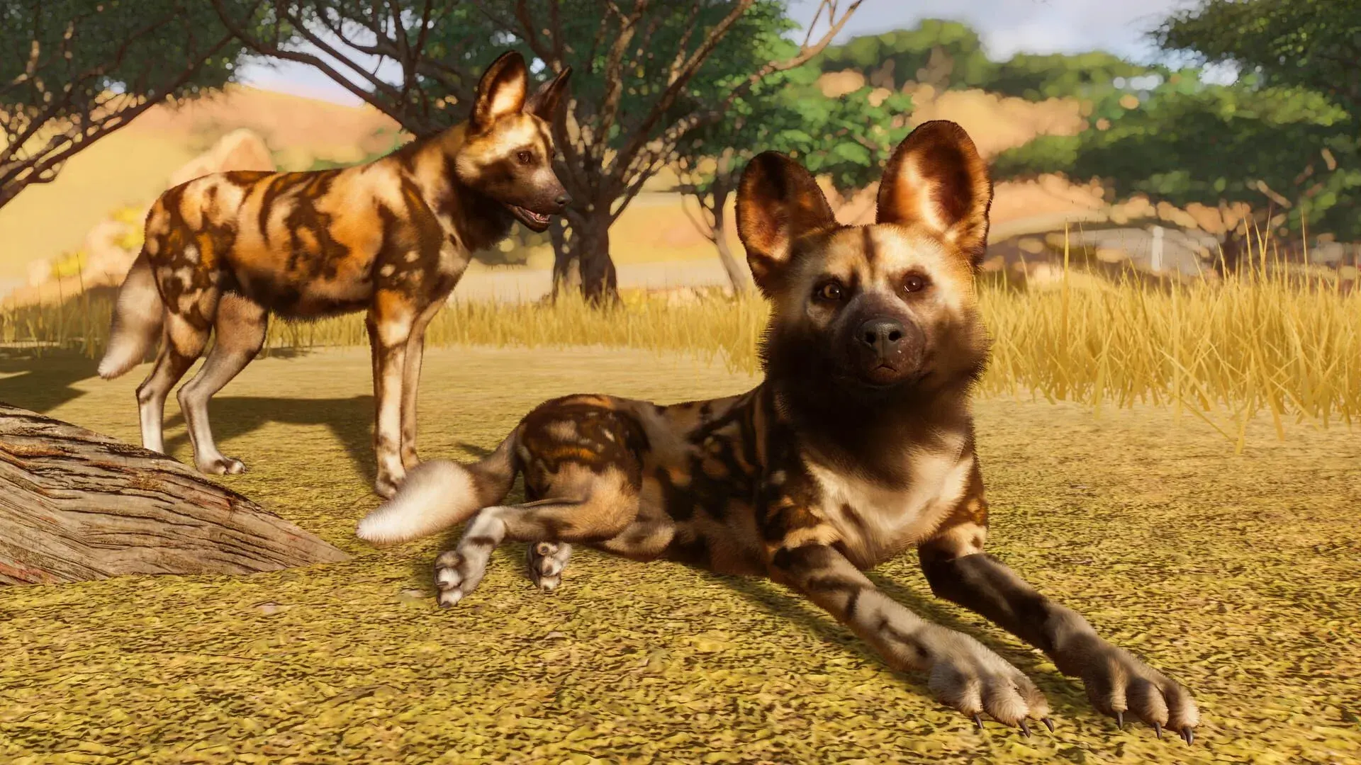 Planet Zoo: Premium Edition - obrazek z gry