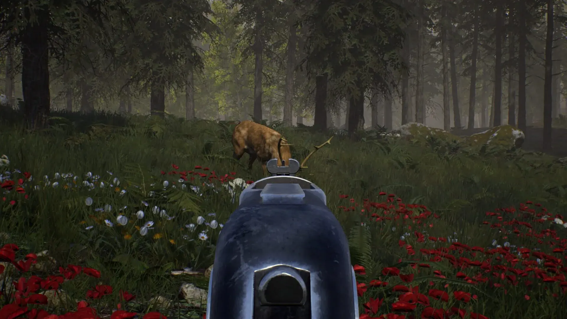 Ranch Simulator: Gold Edition - obrazek z gry