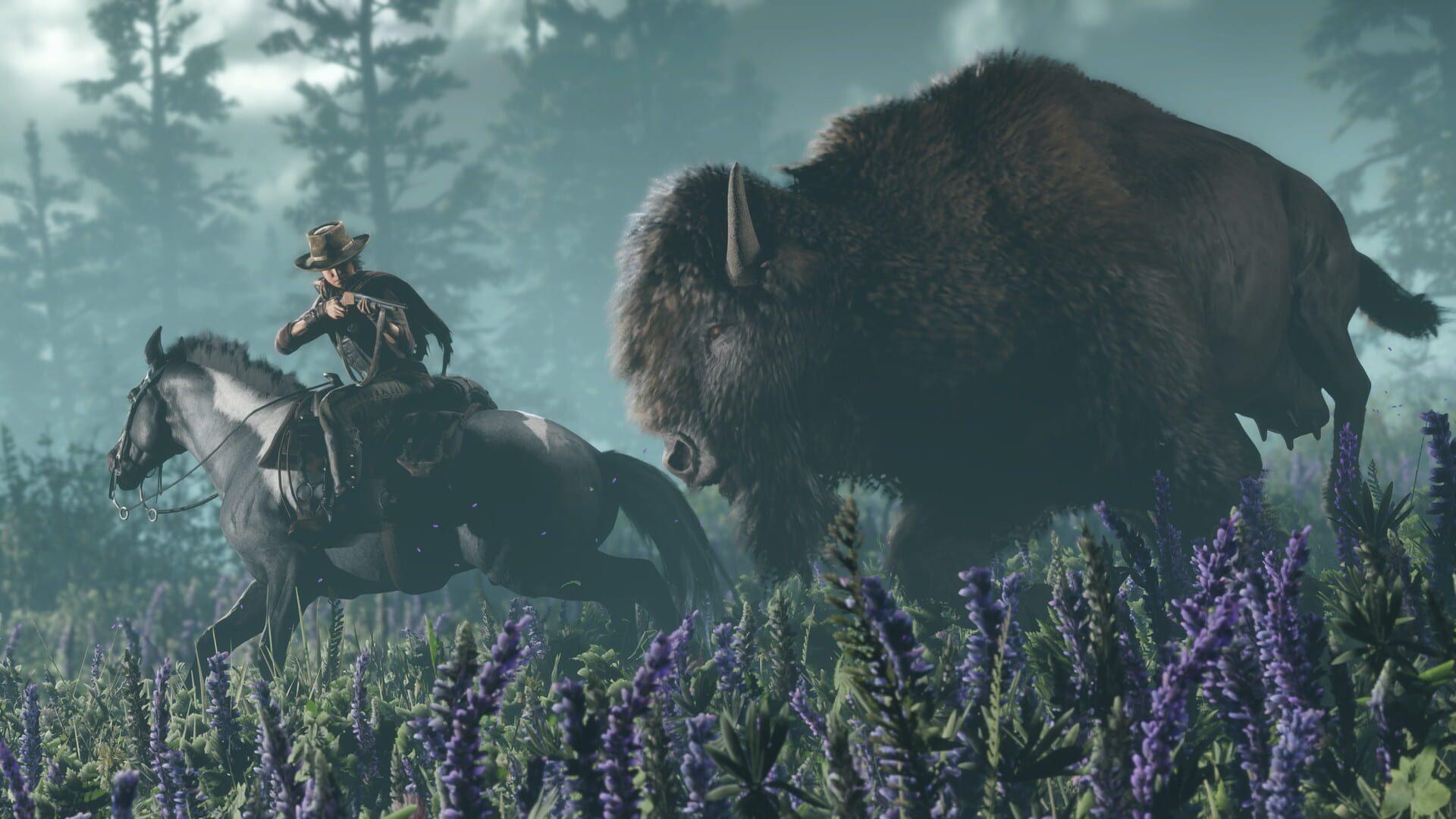 Red Dead Online - zrzut ekranu 3