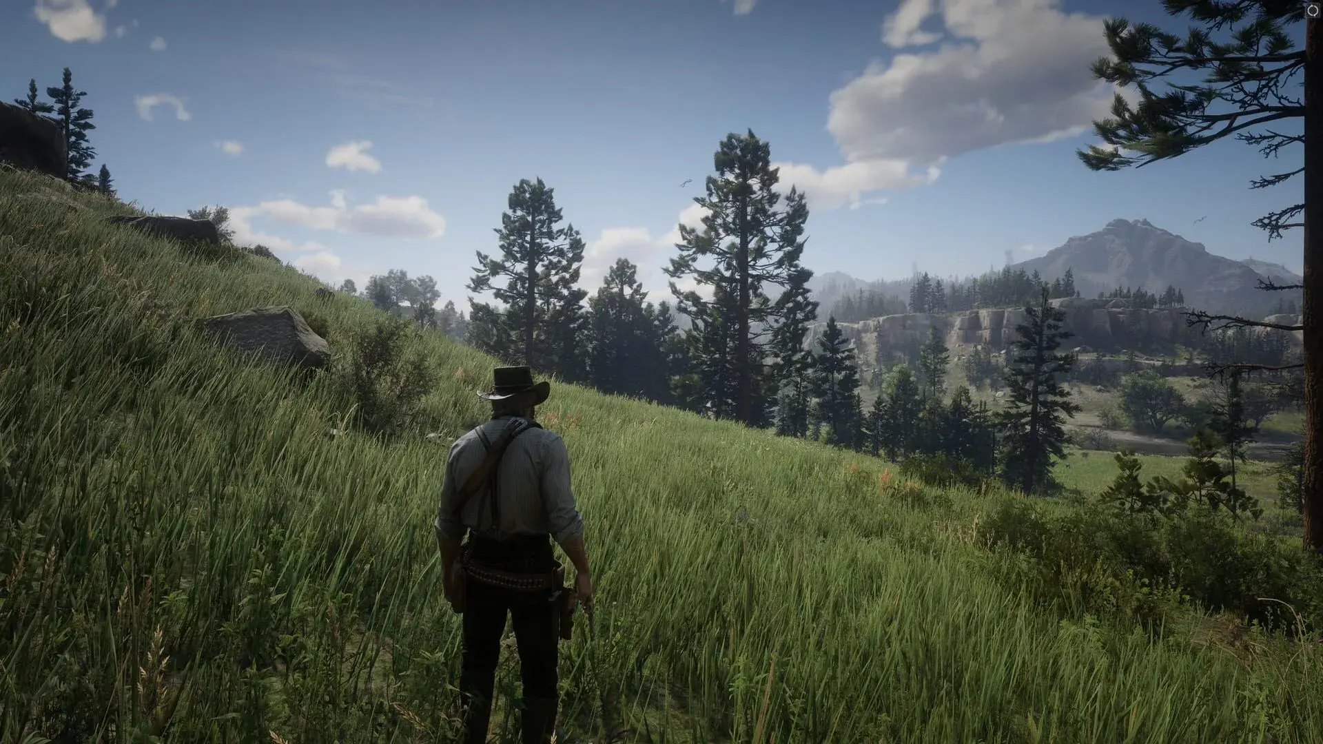 Red Dead Redemption 2 (PS5) - obrazek z gry
