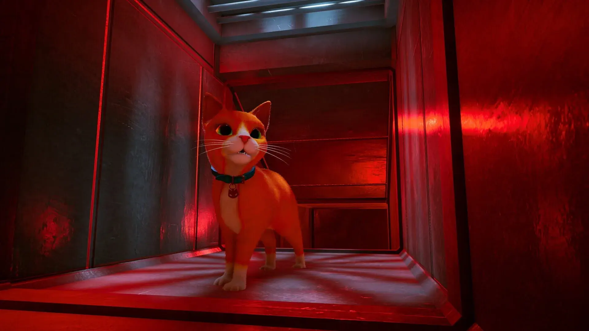 Schrodinger's Cat Burglar - gameplay screenshot