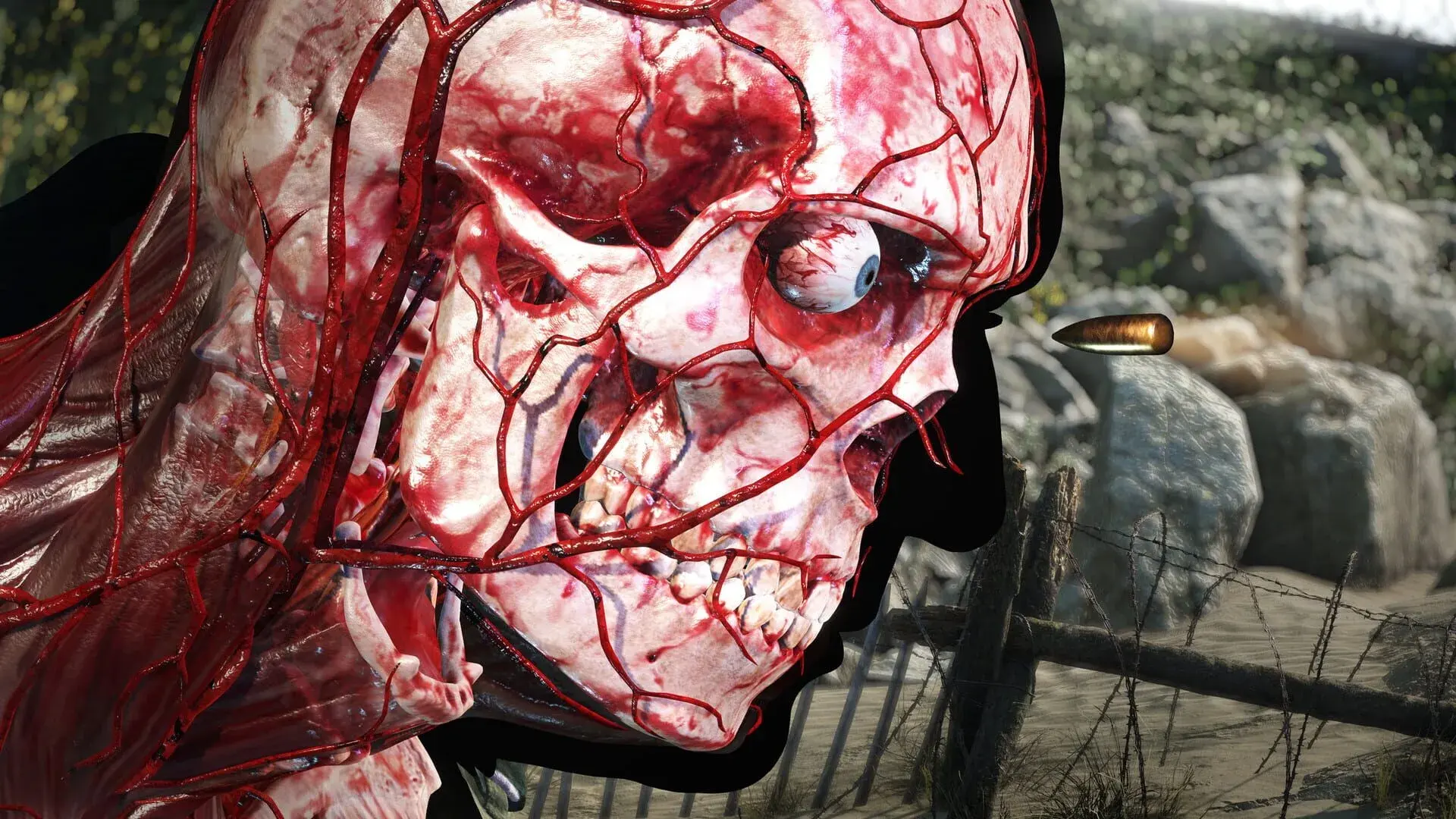 Sniper Elite 5 (Xbox Series & PC) - główny screenshot z gry