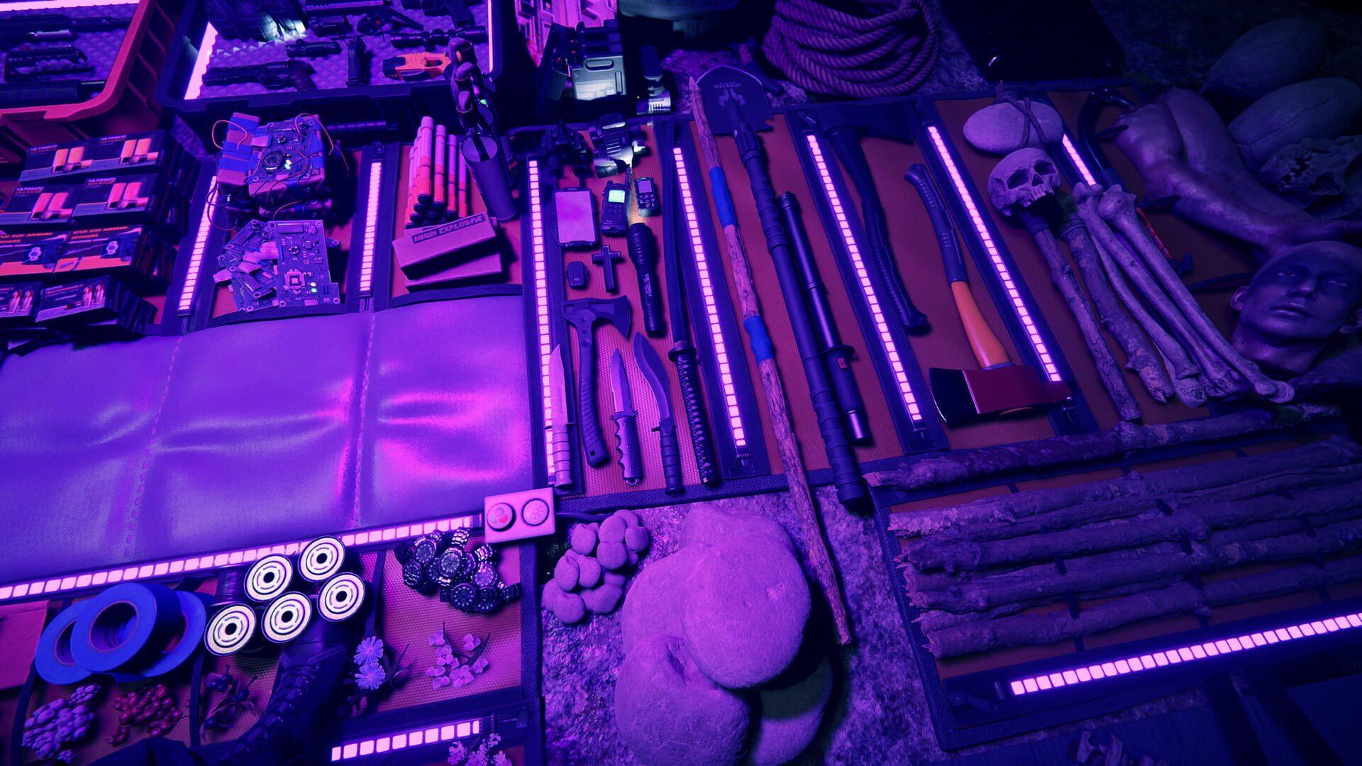 Sons of the Forest - główny screenshot z gry