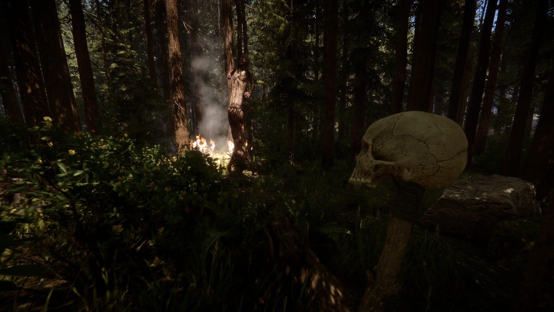 Sons of the Forest - gameplay screenshot